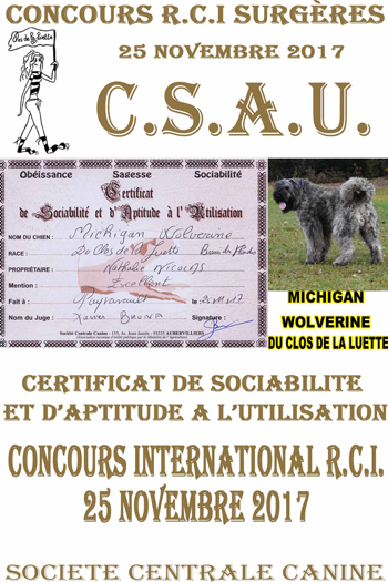 MICHIGAN du clos de la luette CSAU 17